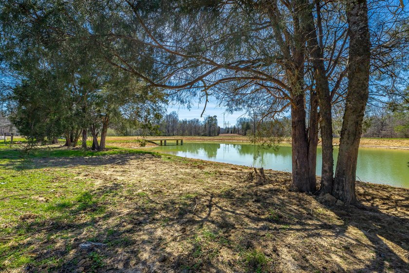 ** New Well on Property** Discover your own 42.4-acre haven! - photo 10
