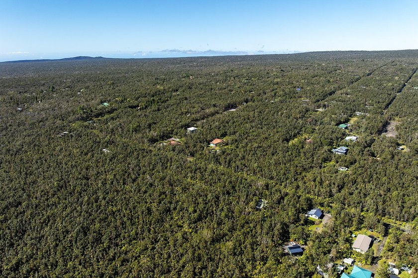 Nestled in the serene Ohia Estates subdivision near Volcano - photo 8