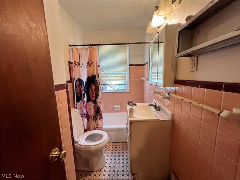 This Home is a fixer upper - photo 12