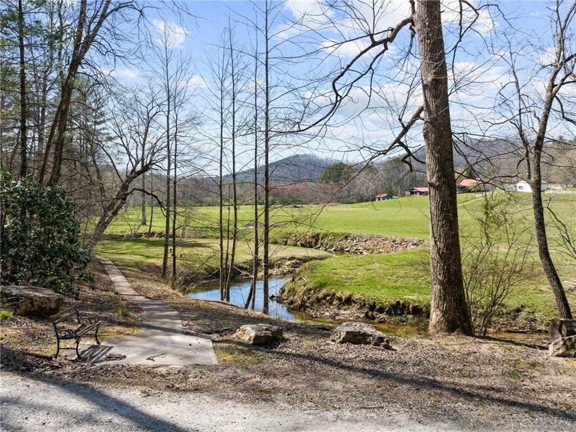 This charming cabin is the perfect opportunity for a primary - photo 24