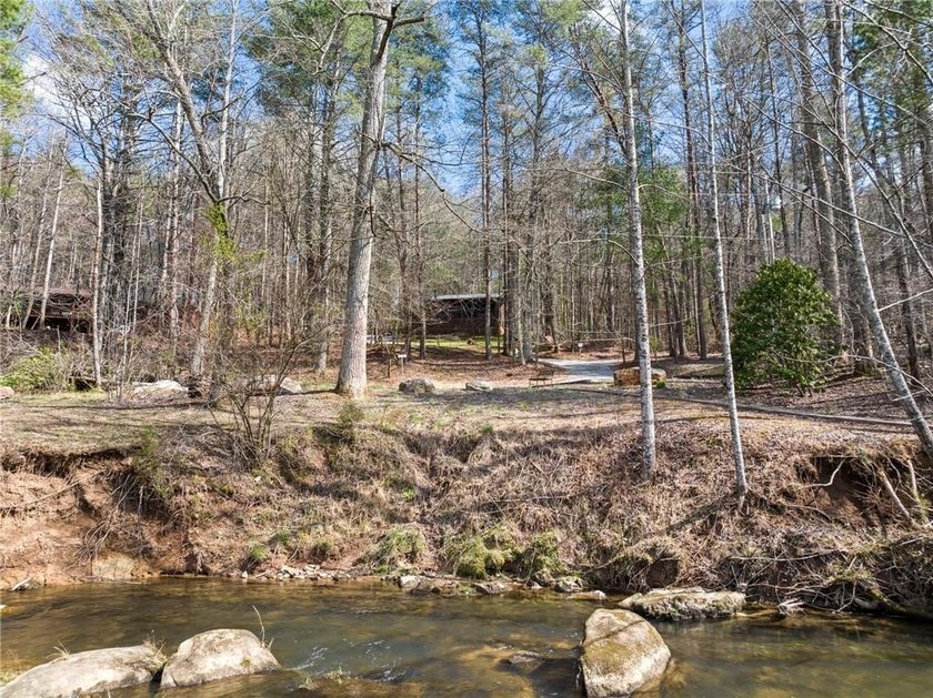 This charming cabin is the perfect opportunity for a primary - photo 25