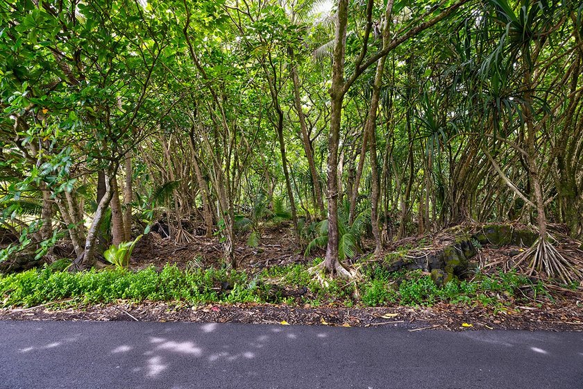 Incredible Value on a Slice of *Old Hawaii* - 1.86 Acres in the - photo 8