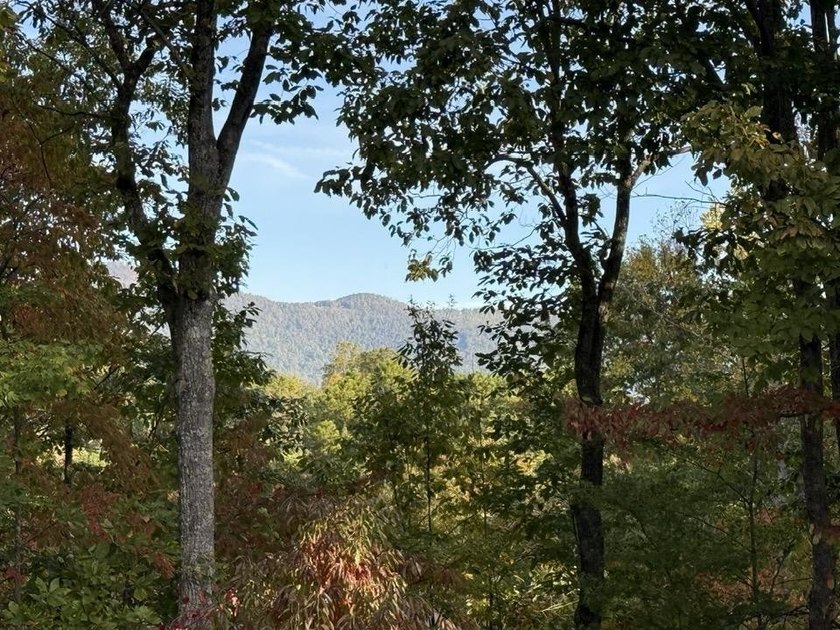 Welcome to the Lake Lanier community, ideally situated between - photo 2