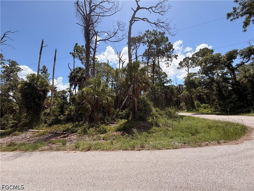 NO BLUE SCRUB JAY on this beautiful corner lot in an upcoming - photo 3