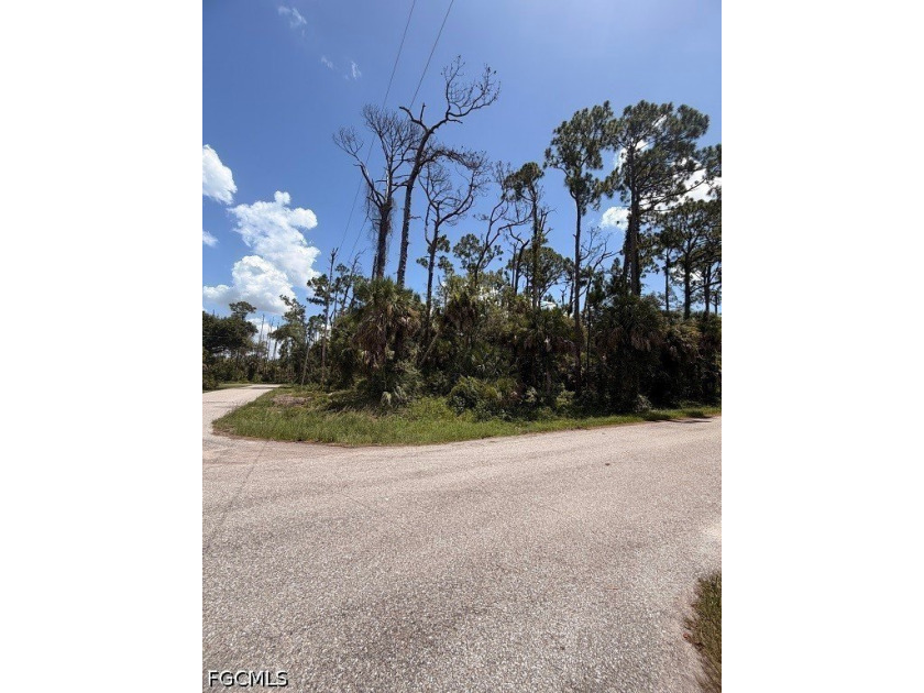 NO BLUE SCRUB JAY on this beautiful corner lot in an upcoming - photo 4