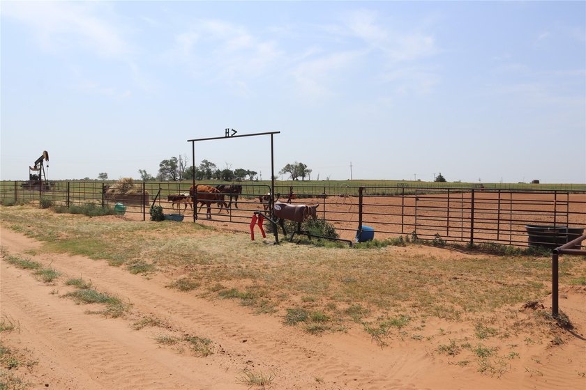 Turn-key Equine training facility. Currently used as a cutting - photo 26