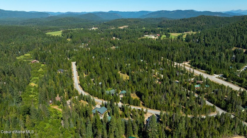 Your own private paradise! This 2012 custom-built Priest Lake - photo 20