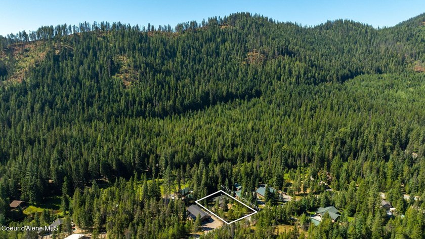 Your own private paradise! This 2012 custom-built Priest Lake - photo 27