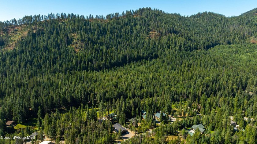 Your own private paradise! This 2012 custom-built Priest Lake - photo 28