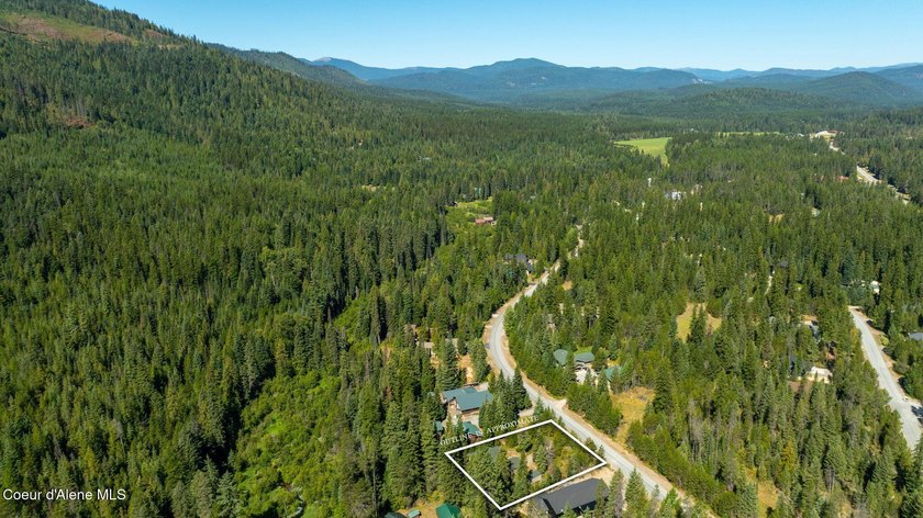 Your own private paradise! This 2012 custom-built Priest Lake - photo 29