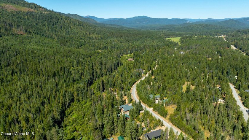 Your own private paradise! This 2012 custom-built Priest Lake - photo 30