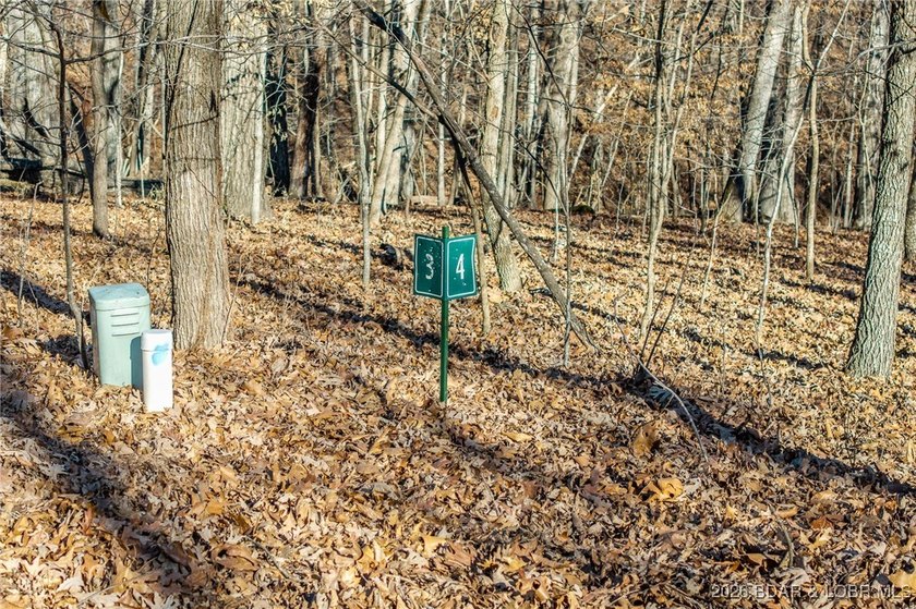 Surrounded by mature trees and natural Ozarks beauty, this - photo 13