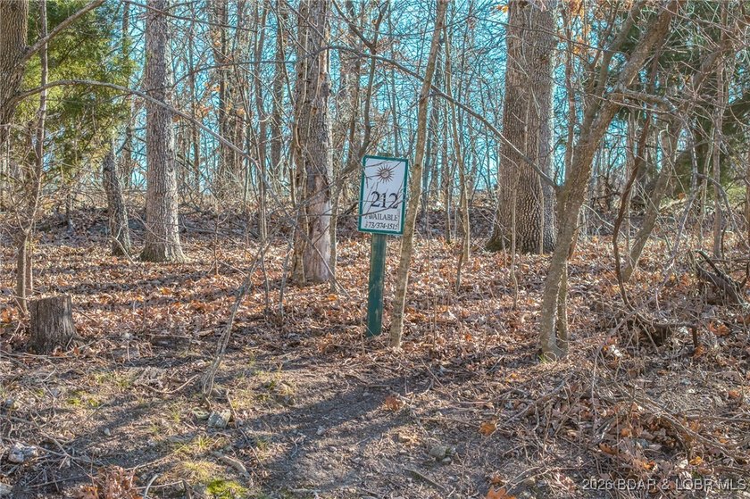 This Lakeview lot at The Villages at Shawnee Bend offers scenic - photo 14