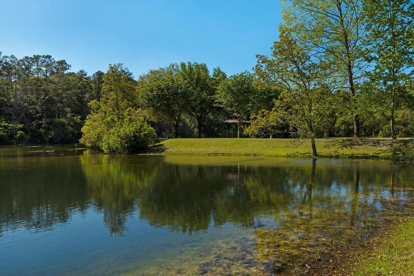 This lovely home sits on a corner lot on a cul-de-sac that - photo 48