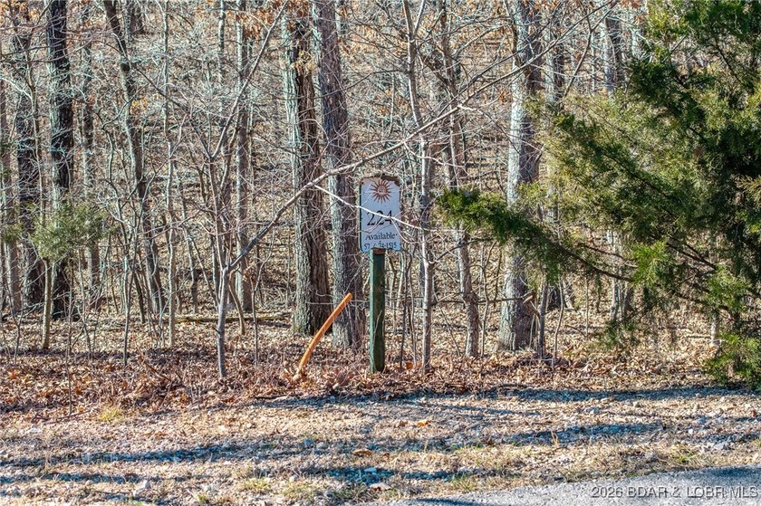 This Lakeview lot at The Villages at Shawnee Bend offers scenic - photo 16