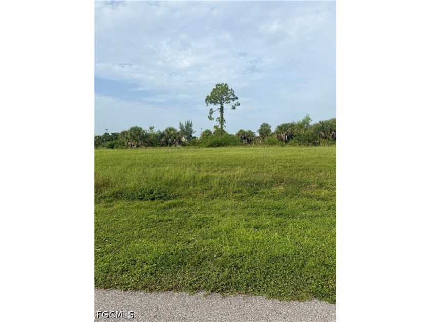 Build your Florida dream home on this beautiful freshwater - photo 4