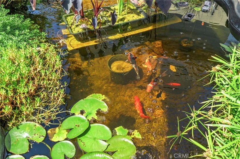 Nestled at the end of a peaceful cul-de-sac in one of Redlands' - photo 35