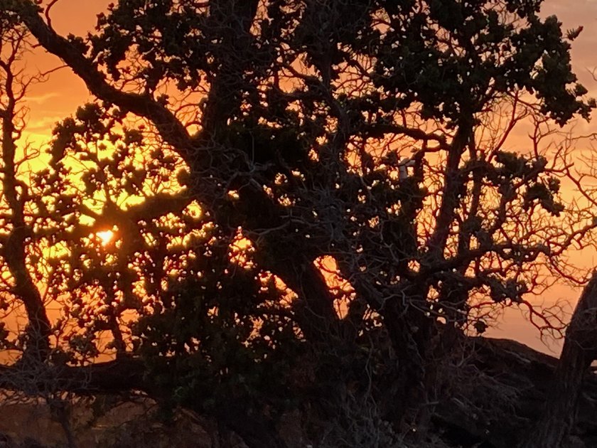 South Kona Estates - *Million dollar views!* This incredibly - photo 8