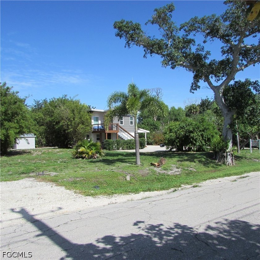 Vacant lot, cleared, Bamboo, Java Plum and a few other trees &amp; - photo 3