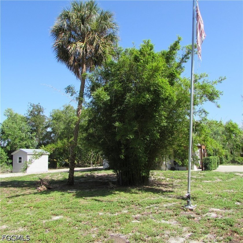 Vacant lot, cleared, Bamboo, Java Plum and a few other trees &amp; - photo 8