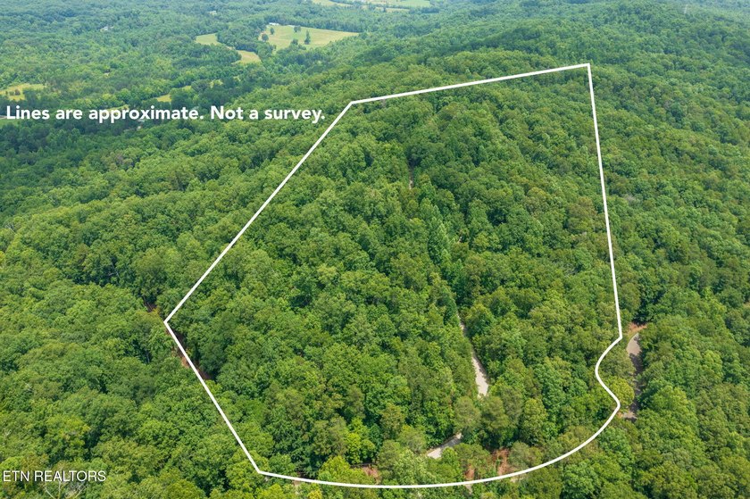 Private Estate on 20+ Acres | 4-Bedroom Home with Bonus Room - photo 28