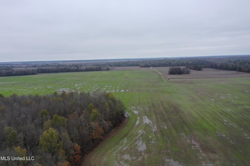 230+/- acres with 158 acres in farm cultivation receiving an - photo 12
