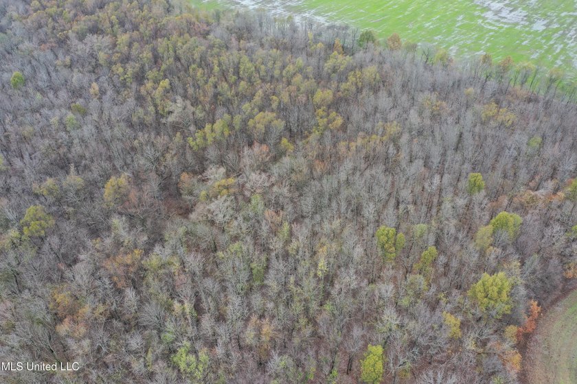230+/- acres with 158 acres in farm cultivation receiving an - photo 13