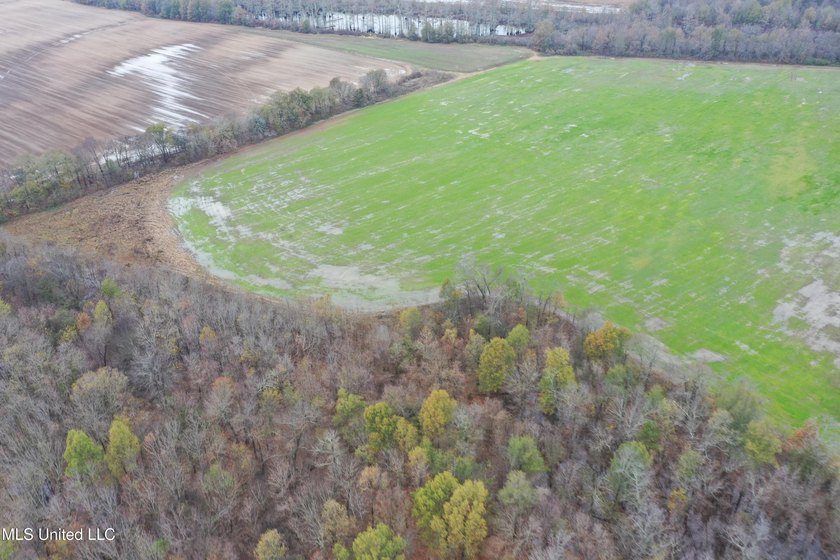 230+/- acres with 158 acres in farm cultivation receiving an - photo 14