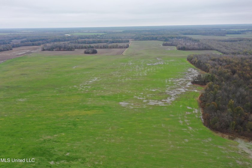 230+/- acres with 158 acres in farm cultivation receiving an - photo 16