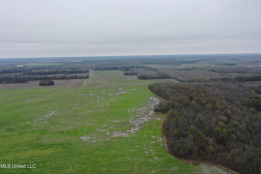 230+/- acres with 158 acres in farm cultivation receiving an - photo 17