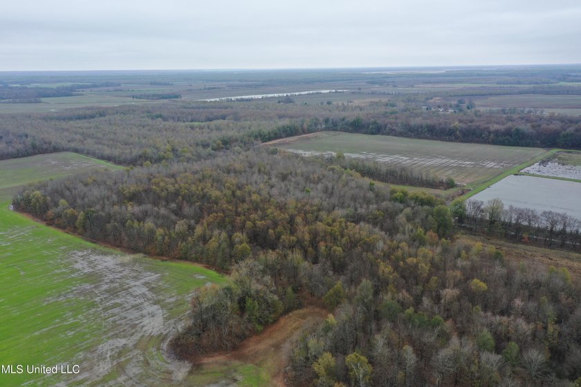 230+/- acres with 158 acres in farm cultivation receiving an - photo 18