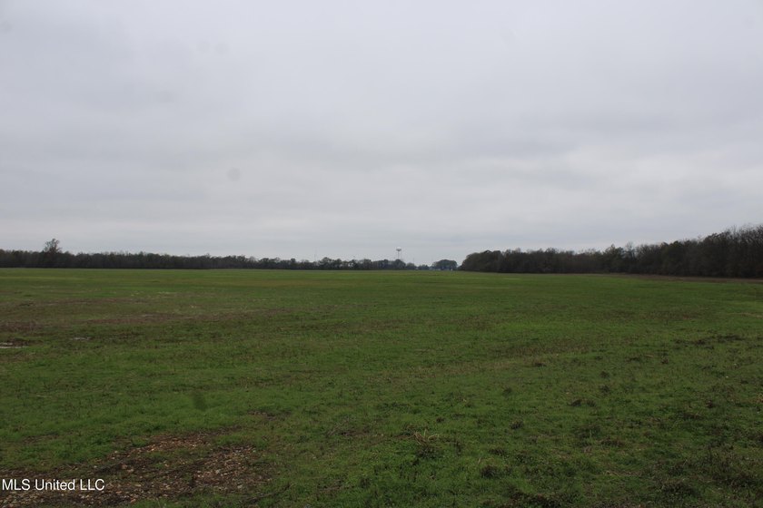 230+/- acres with 158 acres in farm cultivation receiving an - photo 20