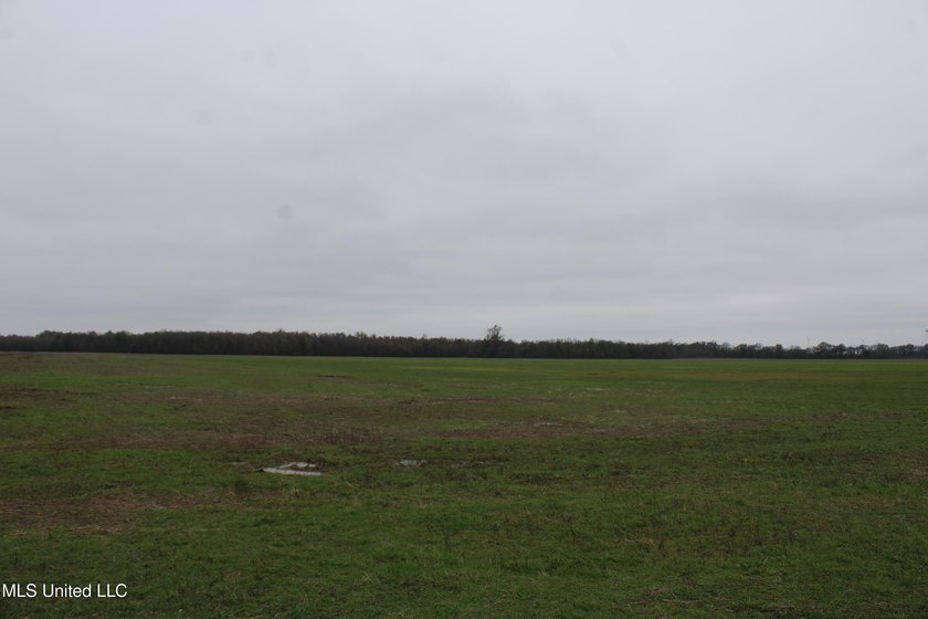 230+/- acres with 158 acres in farm cultivation receiving an - photo 21
