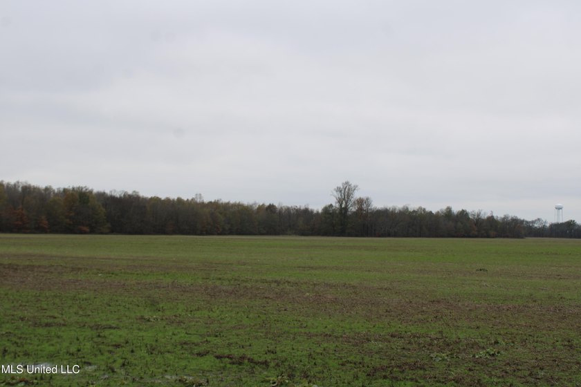 230+/- acres with 158 acres in farm cultivation receiving an - photo 24