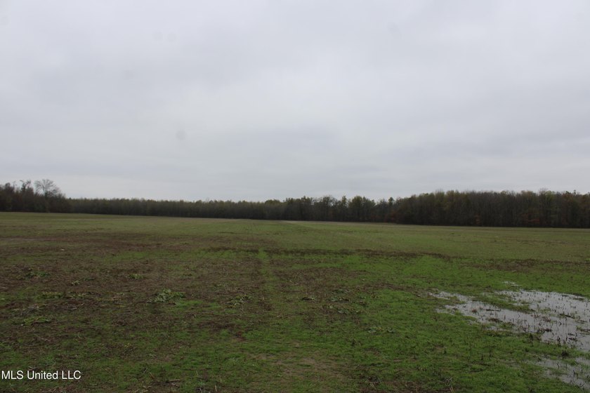230+/- acres with 158 acres in farm cultivation receiving an - photo 26