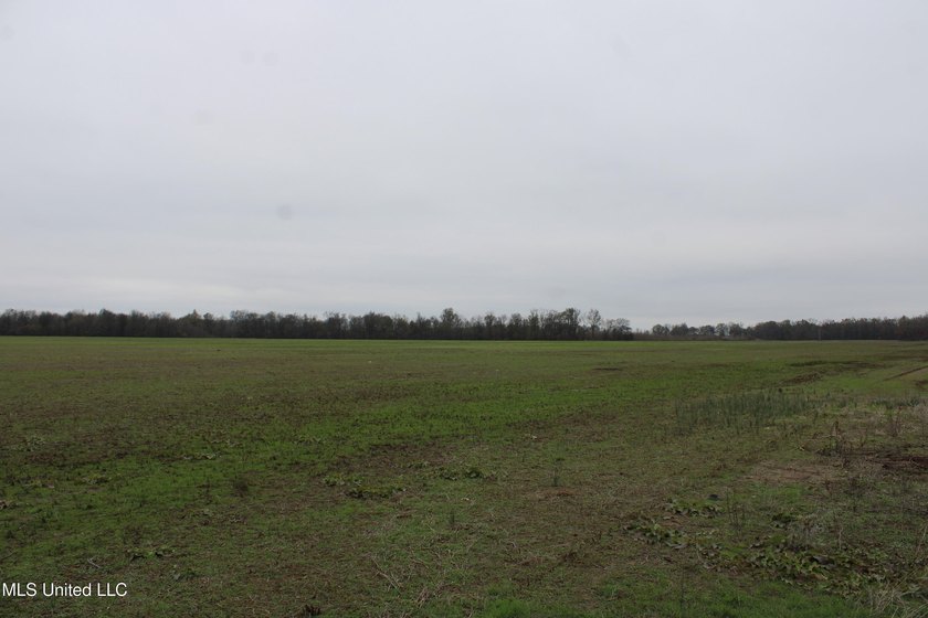 230+/- acres with 158 acres in farm cultivation receiving an - photo 27