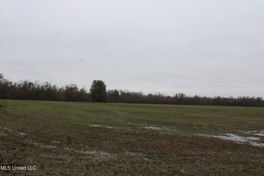 230+/- acres with 158 acres in farm cultivation receiving an - photo 28
