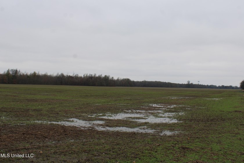 230+/- acres with 158 acres in farm cultivation receiving an - photo 29