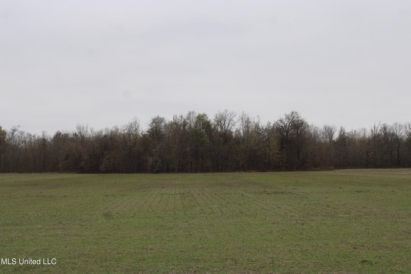 230+/- acres with 158 acres in farm cultivation receiving an - photo 30