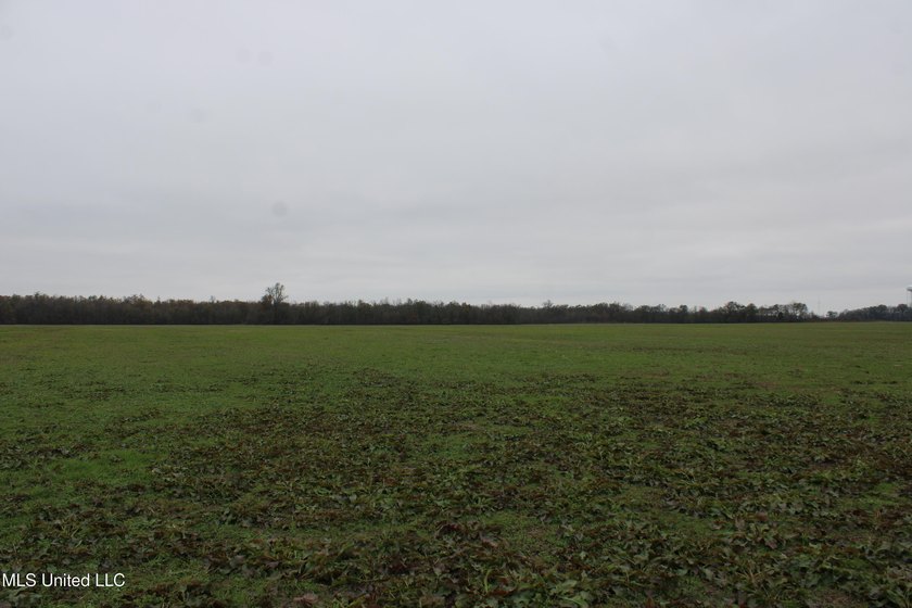 230+/- acres with 158 acres in farm cultivation receiving an - photo 31