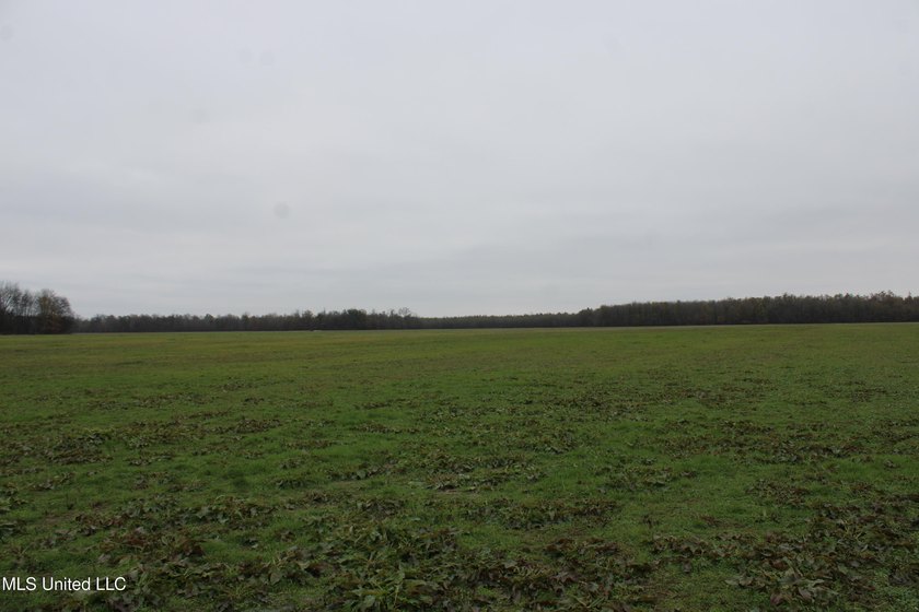 230+/- acres with 158 acres in farm cultivation receiving an - photo 32