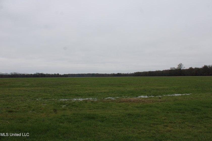 230+/- acres with 158 acres in farm cultivation receiving an - photo 33
