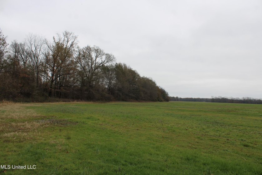 230+/- acres with 158 acres in farm cultivation receiving an - photo 34