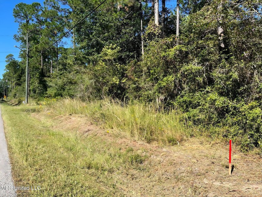 Scoop up this sweet homesite minutes to the water and the white - photo 2