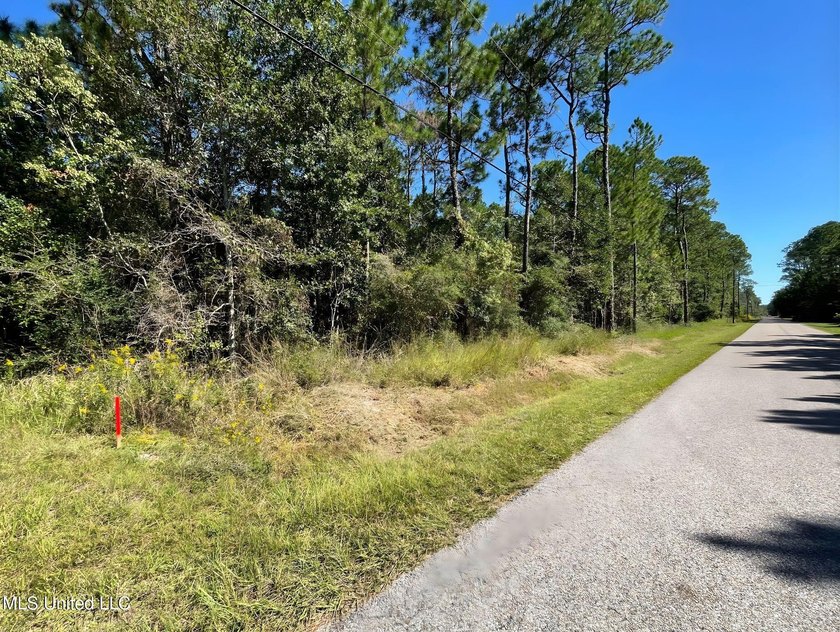 Scoop up this sweet homesite minutes to the water and the white - photo 3