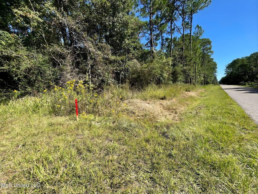 Scoop up this sweet homesite minutes to the water and the white - photo 10