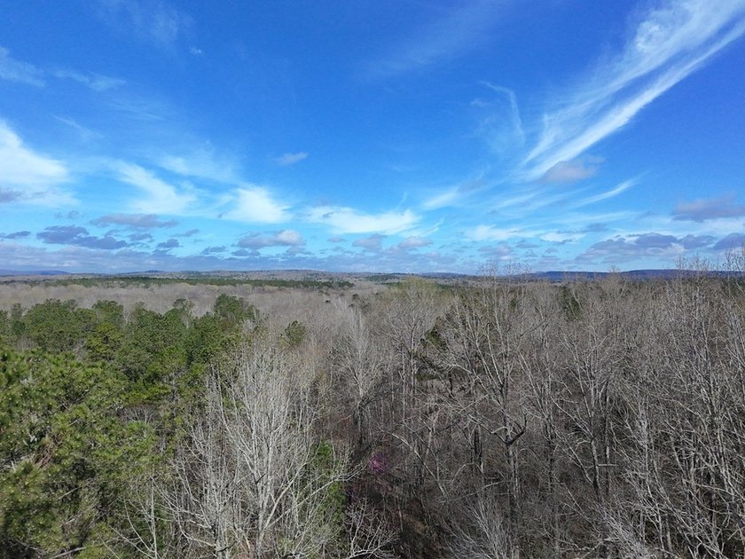21.5 acres located just north of Waverly Hall offering a great - photo 3