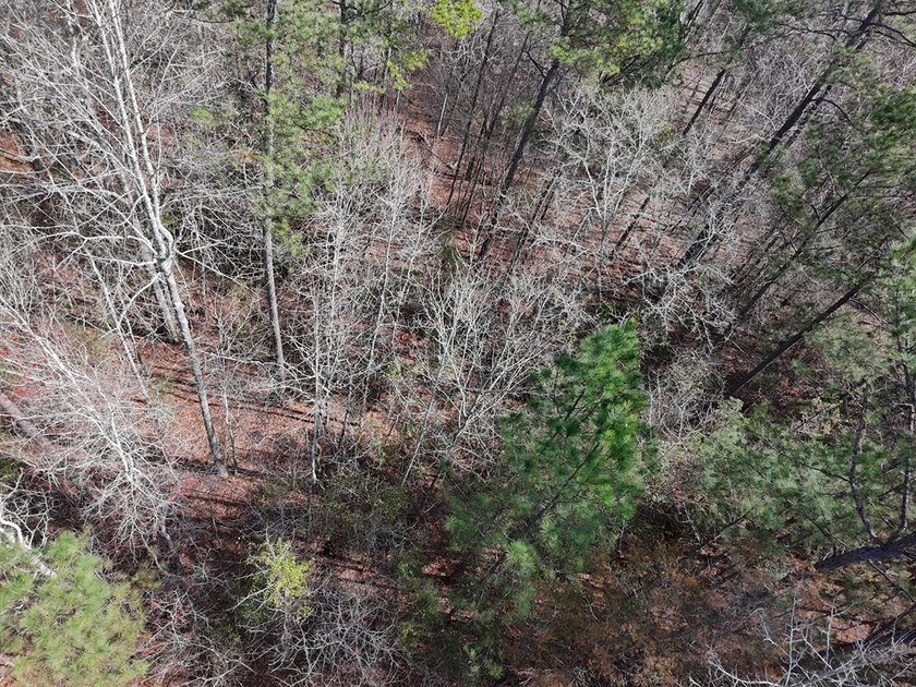 21.5 acres located just north of Waverly Hall offering a great - photo 8