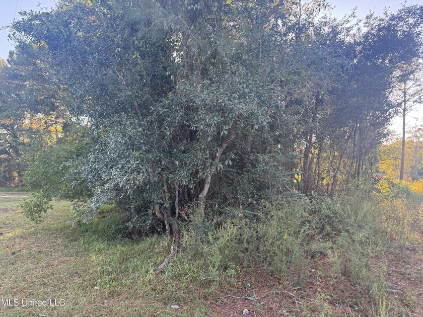 Looking for a big lot on a wide canal at an affordable price - photo 2