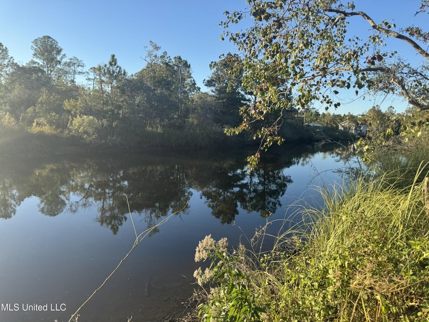 Looking for a big lot on a wide canal at an affordable price - photo 10